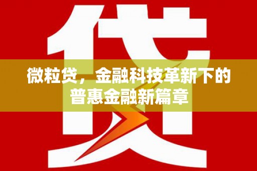 召陵微粒贷，金融科技革新下的普惠金融新篇章