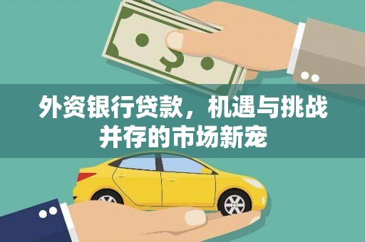 召陵外资银行贷款，机遇与挑战并存的市场新宠