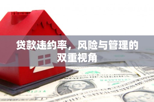 召陵贷款违约率，风险与管理的双重视角