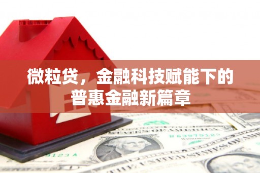 召陵微粒贷，金融科技赋能下的普惠金融新篇章