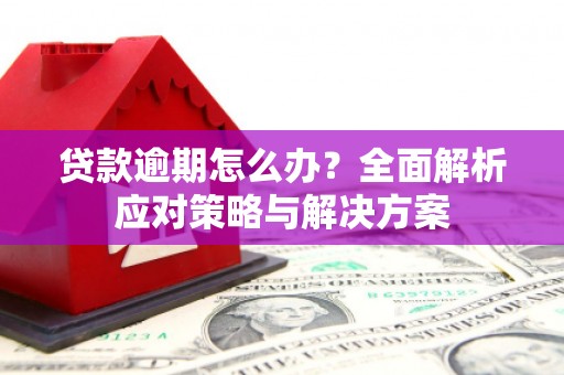召陵贷款逾期怎么办？全面解析应对策略与解决方案