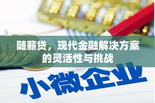 召陵随薪贷，现代金融解决方案的灵活性与挑战