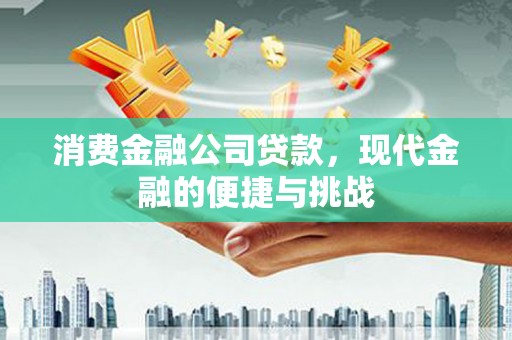 召陵消费金融公司贷款，现代金融的便捷与挑战