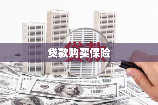 召陵贷款购买保险