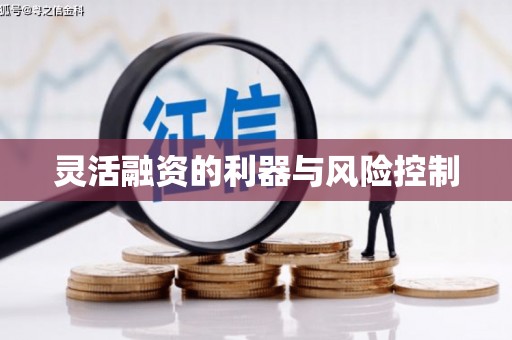 召陵灵活融资的利器与风险控制
