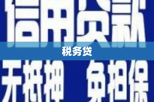 召陵税务贷