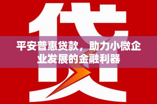 召陵平安普惠贷款，助力小微企业发展的金融利器