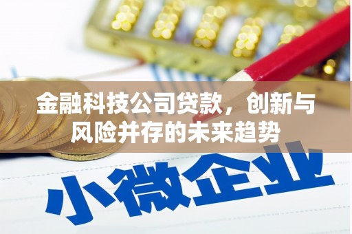 召陵金融科技公司贷款，创新与风险并存的未来趋势