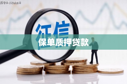召陵保单质押贷款