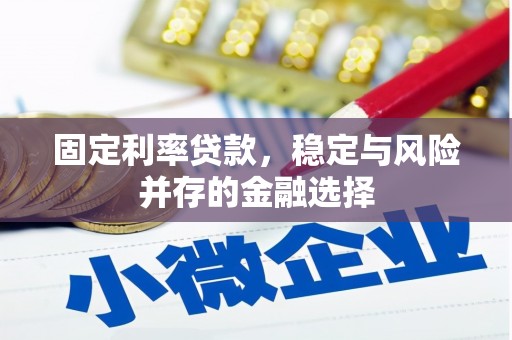 召陵固定利率贷款，稳定与风险并存的金融选择