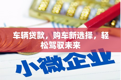 召陵车辆贷款，购车新选择，轻松驾驭未来