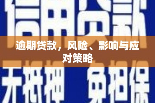 召陵逾期贷款，风险、影响与应对策略