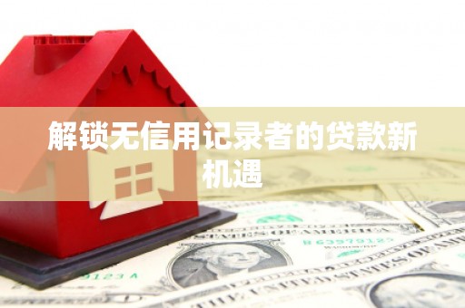 召陵解锁无信用记录者的贷款新机遇