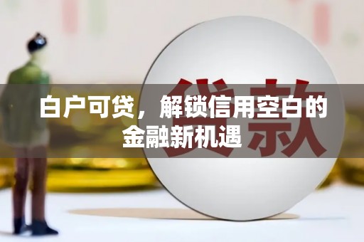 召陵白户可贷，解锁信用空白的金融新机遇