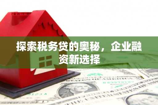 召陵探索税务贷的奥秘，企业融资新选择