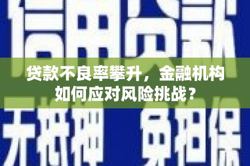 召陵贷款不良率攀升，金融机构如何应对风险挑战？