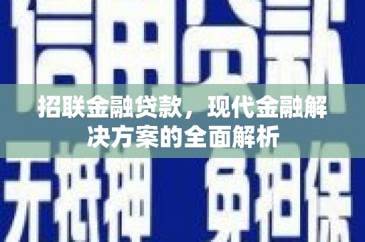 召陵招联金融贷款，现代金融解决方案的全面解析