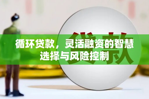 召陵循环贷款，灵活融资的智慧选择与风险控制