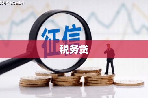 召陵税务贷