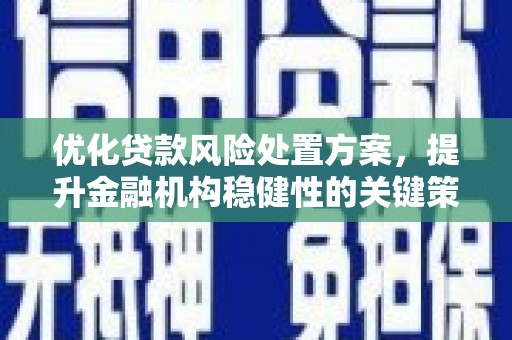 召陵优化贷款风险处置方案，提升金融机构稳健性的关键策略