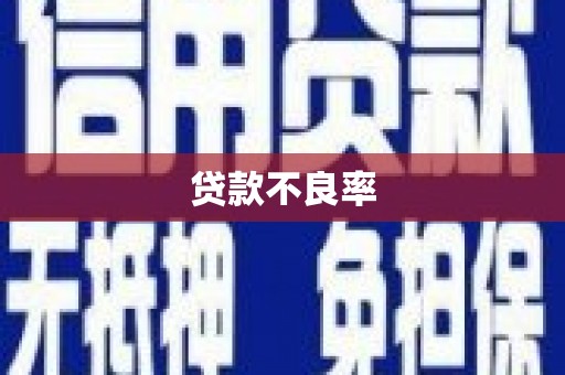 召陵贷款不良率