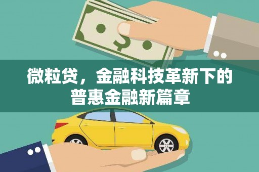 召陵微粒贷，金融科技革新下的普惠金融新篇章
