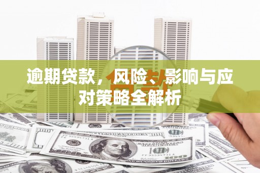 召陵逾期贷款，风险、影响与应对策略全解析