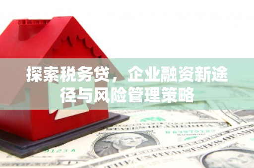 召陵探索税务贷，企业融资新途径与风险管理策略