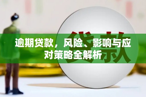 召陵逾期贷款，风险、影响与应对策略全解析