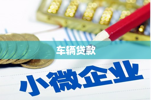 召陵车辆贷款