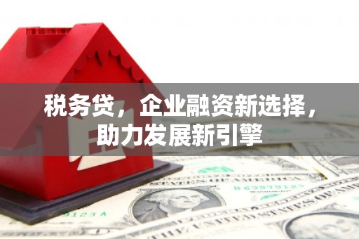 召陵税务贷，企业融资新选择，助力发展新引擎