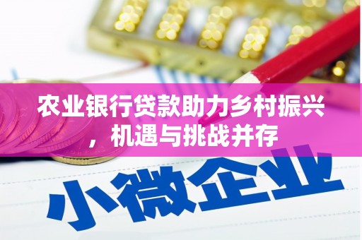 召陵农业银行贷款助力乡村振兴，机遇与挑战并存