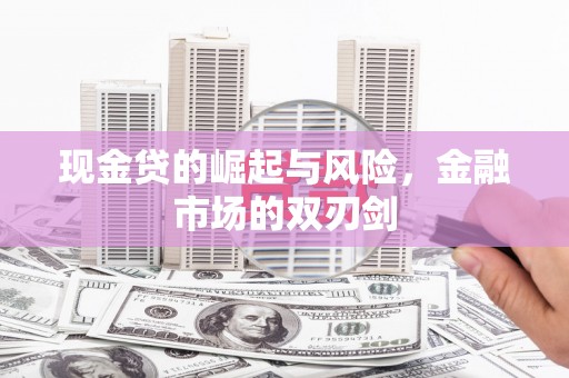 召陵现金贷的崛起与风险，金融市场的双刃剑