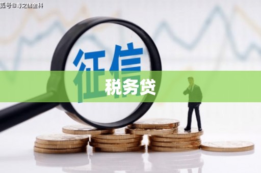 召陵税务贷