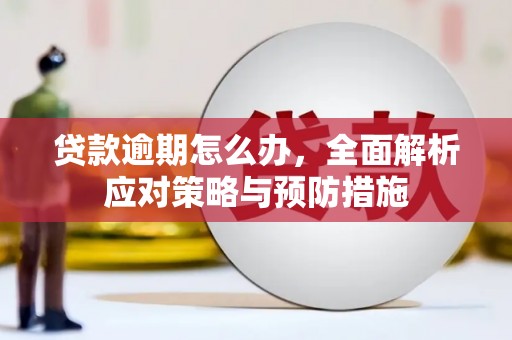 召陵贷款逾期怎么办，全面解析应对策略与预防措施