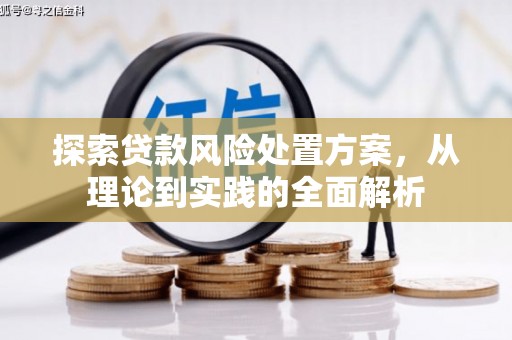 召陵探索贷款风险处置方案，从理论到实践的全面解析