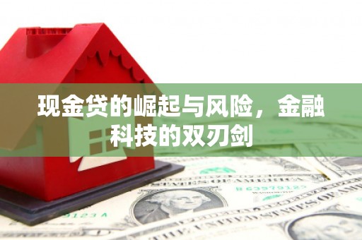 召陵现金贷的崛起与风险，金融科技的双刃剑