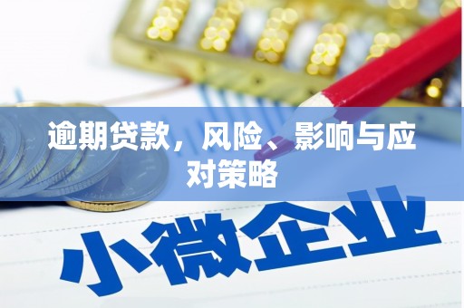 召陵逾期贷款，风险、影响与应对策略