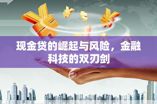 召陵现金贷的崛起与风险，金融科技的双刃剑