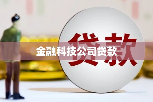 召陵金融科技公司贷款