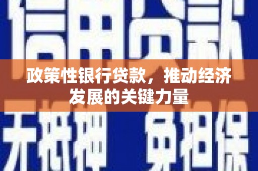 召陵政策性银行贷款，推动经济发展的关键力量