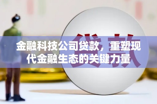召陵金融科技公司贷款，重塑现代金融生态的关键力量