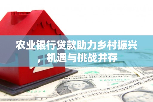 召陵农业银行贷款助力乡村振兴，机遇与挑战并存