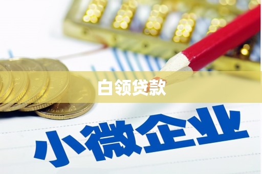 召陵白领贷款