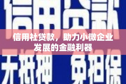召陵信用社贷款，助力小微企业发展的金融利器