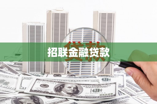 召陵招联金融贷款