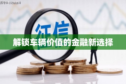 召陵解锁车辆价值的金融新选择