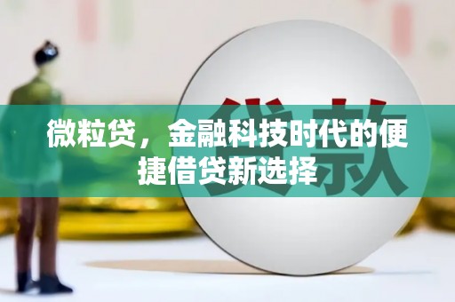 召陵微粒贷，金融科技时代的便捷借贷新选择