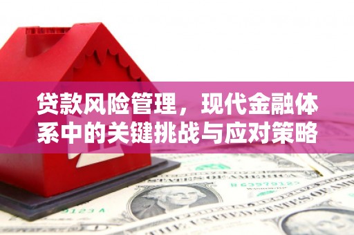 召陵贷款风险管理，现代金融体系中的关键挑战与应对策略