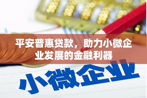 召陵平安普惠贷款，助力小微企业发展的金融利器